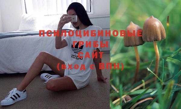 эйфоретик Вязники